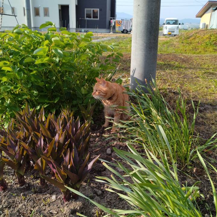 Aea17946 38e5 4738 990a b998222ba261 1685051374293