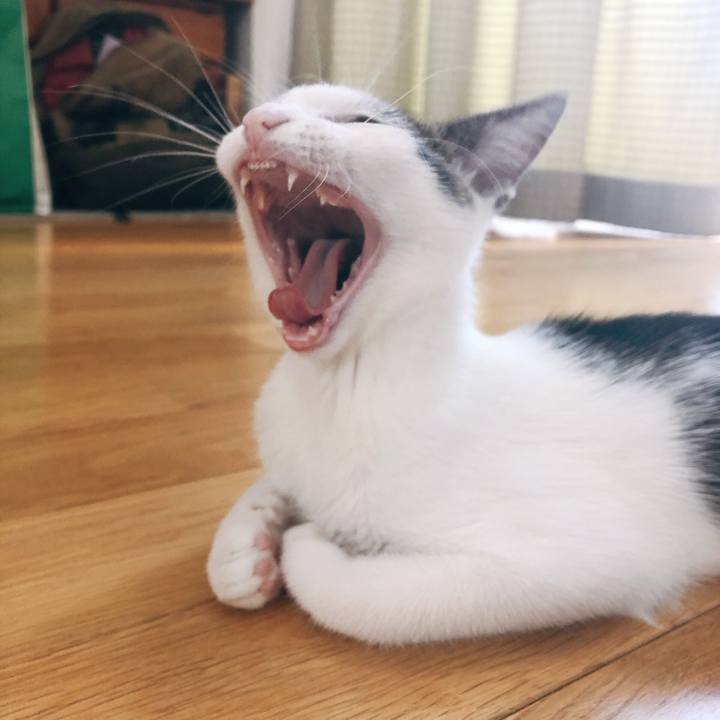 Aea18b28 a692 4576 a24c b01d62ee238b 1570146316133