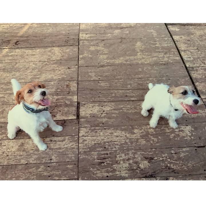 Aea1bc50 2231 4c0c b781 8583fddc8e21 1568763242191