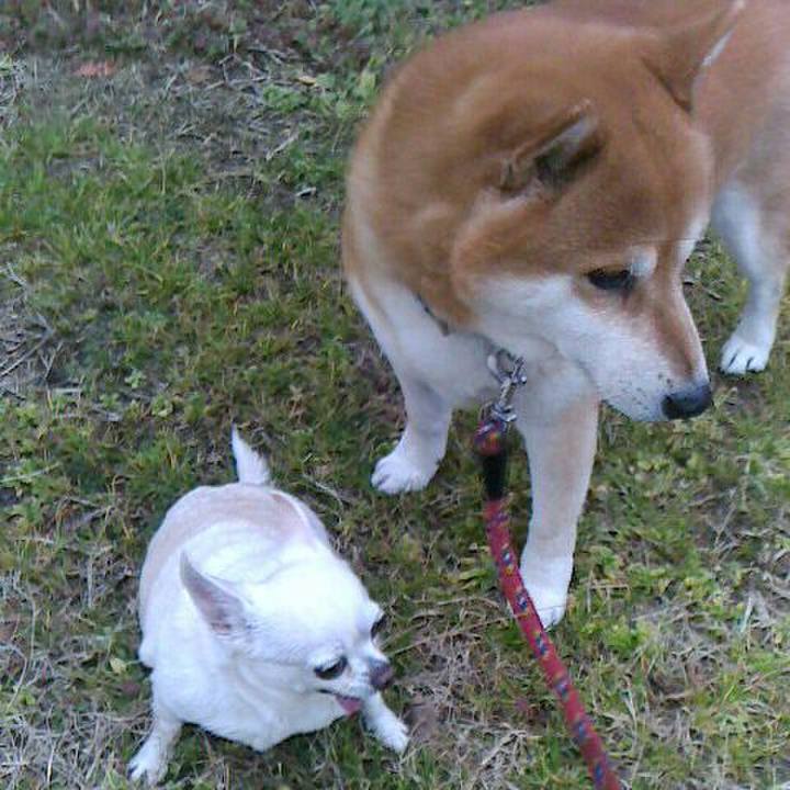 Aea1c550 fd04 4cc1 a475 35ff63a33c9b 1549968744891