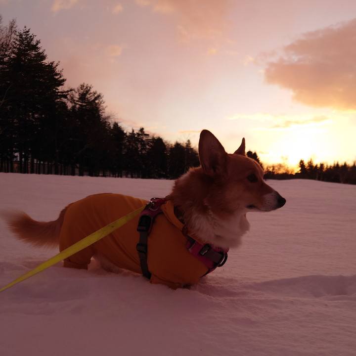 Aea1d457 3cb0 4adc 8fb4 0efa088d8f91 1765322973212