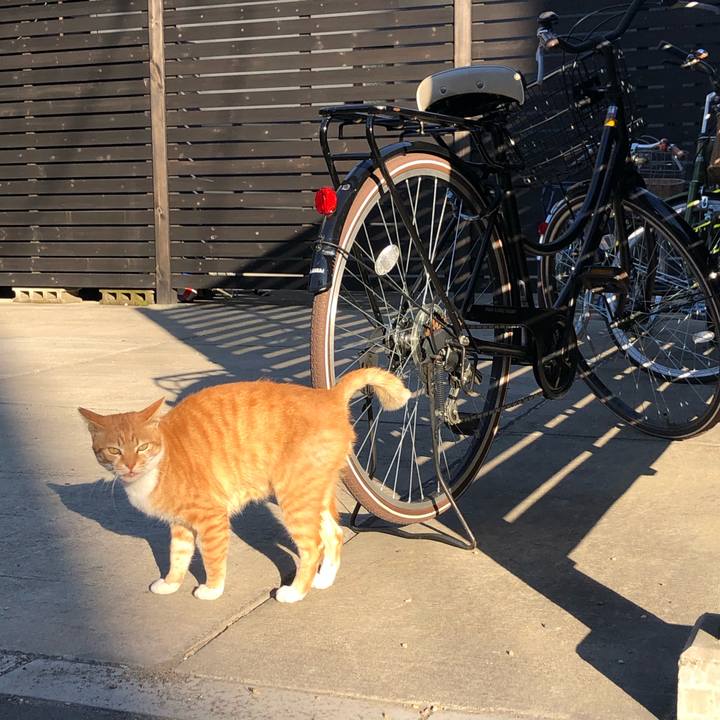 Aea1e5d9 f9b2 4939 8e04 e1a0101fc024 1580974997390