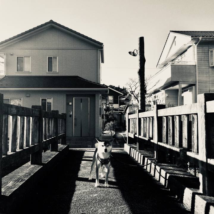 Aea21864 b2e3 48b1 9e23 105ed4cad899 1515495112370