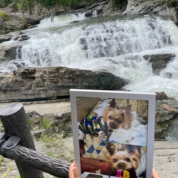 Aea2805a e0a5 4045 8fc8 23271d73a474 1726135504440