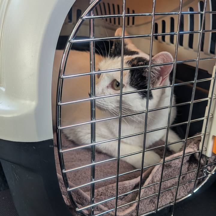 Aea29e8f f900 4271 b33e e8de7074a0c1 1755302633633