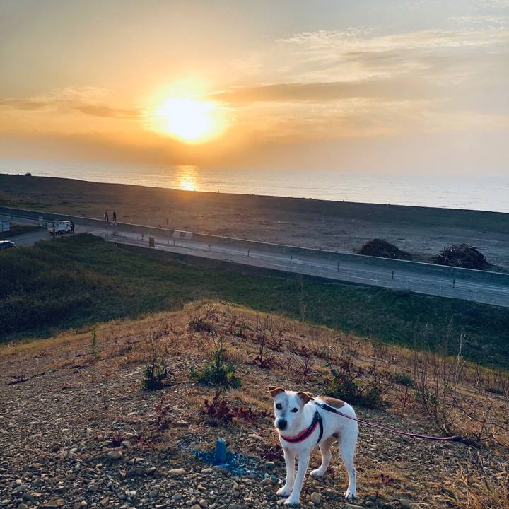 Aea2c01d 34e2 4798 8c59 59a6347c2110 1543720186668