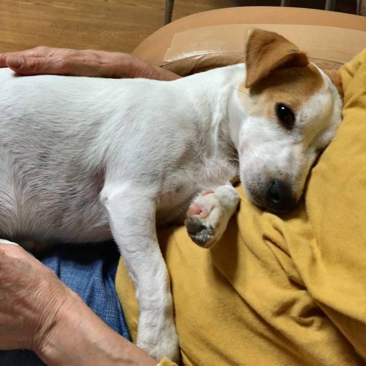 Aea2d2c0 8596 4309 8df2 23d0445434f1 1572310948779