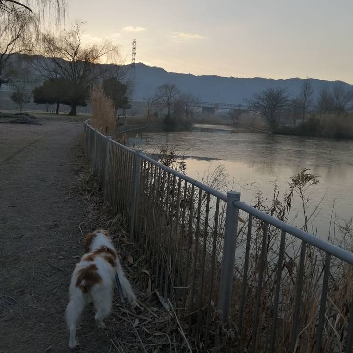 Aea2e575 d4da 4034 a6d3 dd6fafb4b0f0 1581380019359