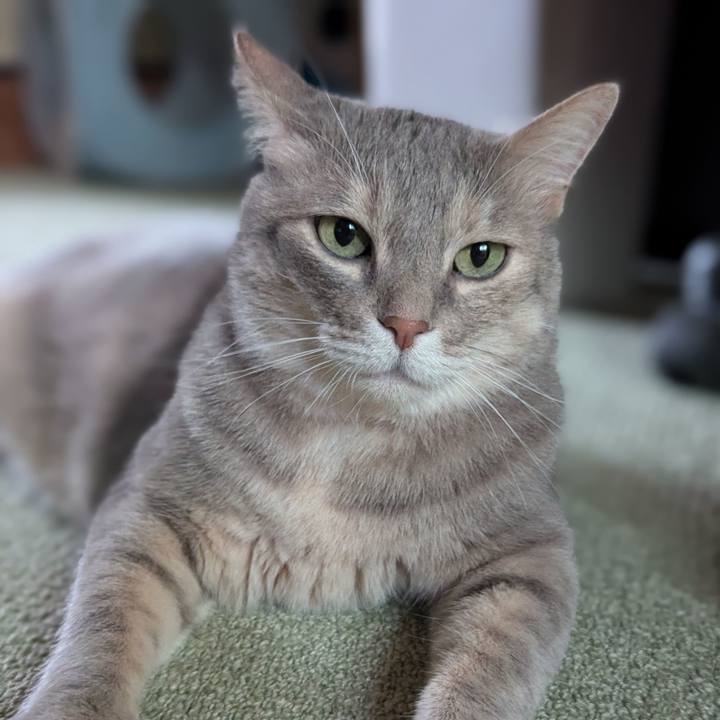 Aea2e79a 6760 41ff 8485 48e50d95500c 1719207282378