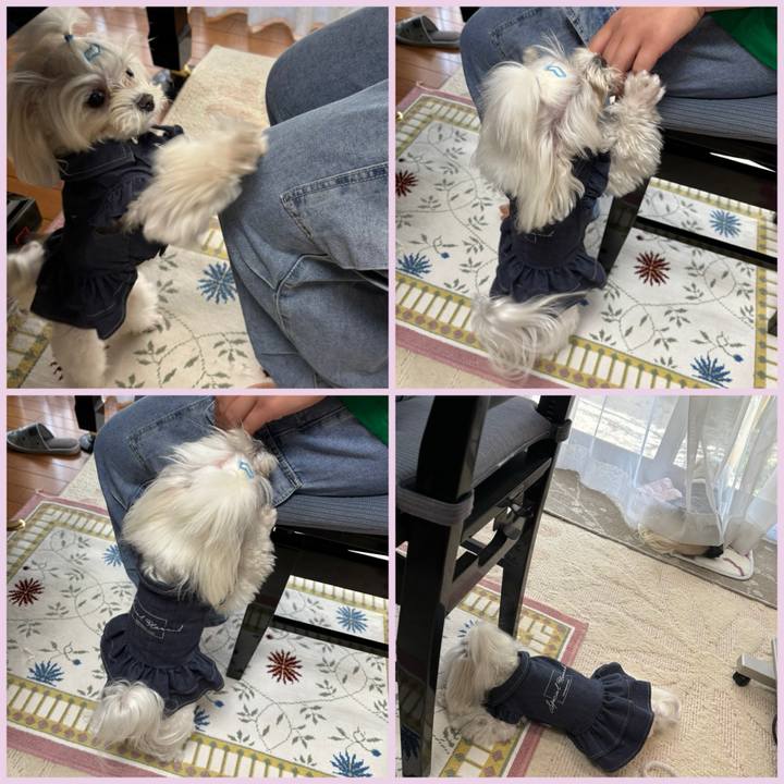 Aea2f2a8 5646 4c9b b77d e96ae7316c74 1744446801925