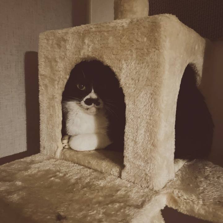 Aea30746 76dd 4dd9 b059 2bd897cf83a3 1656592453023