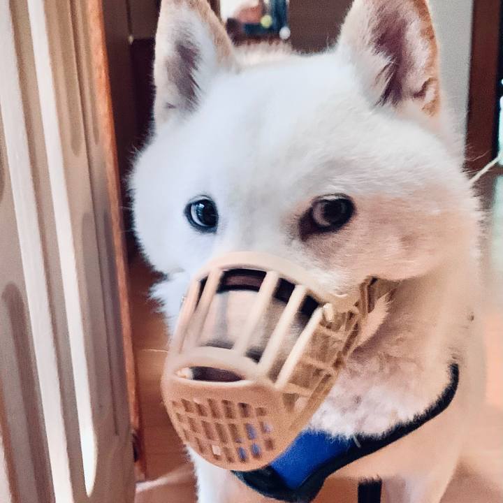 Aea31e9e fe9f 4779 ac80 738ada29b841 1621717166141