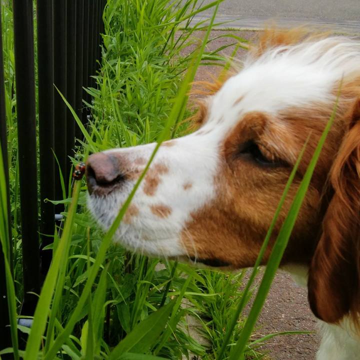 Aea340dd be95 4d4b 8fe8 00f91d53ca44 1556088308244