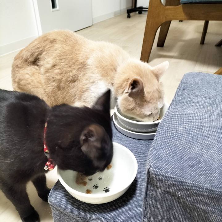 Aea3b625 79bc 4fbb 8713 24300dee1209 1682587115850