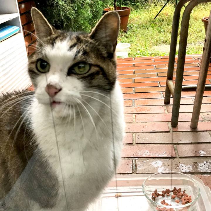 Aea3d403 ec76 42c5 94f5 c1aa6123b915 1511490991287