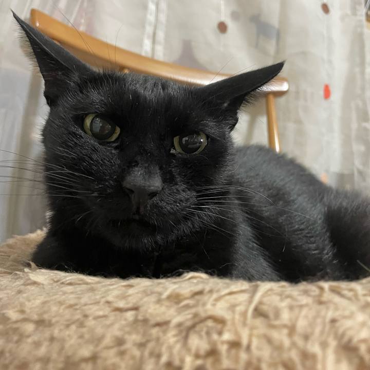 Aea3ddb1 da75 4932 9dbc af4f55e835eb 1757249074504