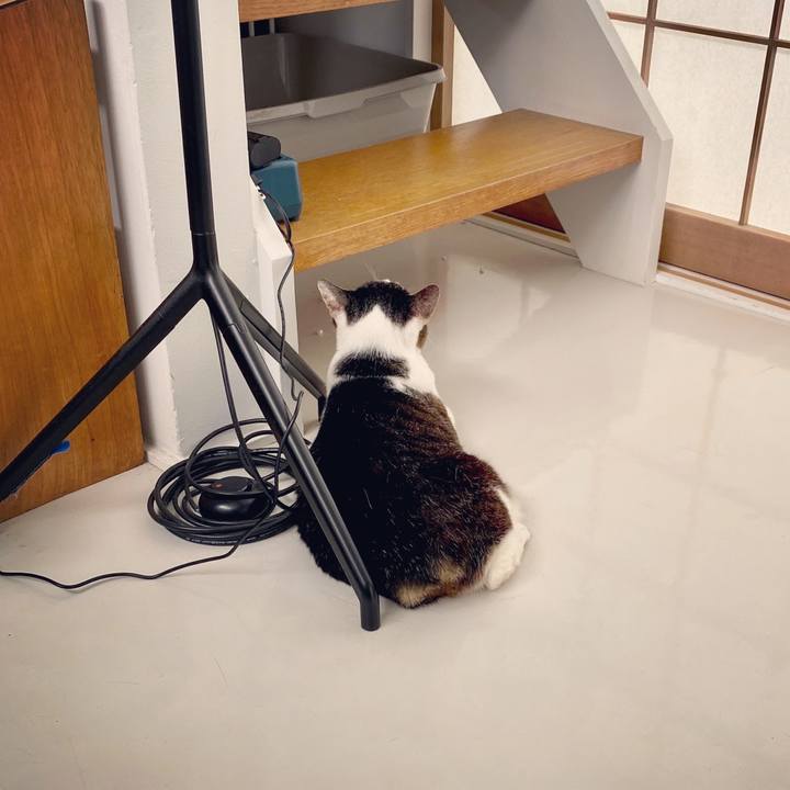 Aea4377b 7d61 46ed 9443 c6b863e4c545 1597215737271