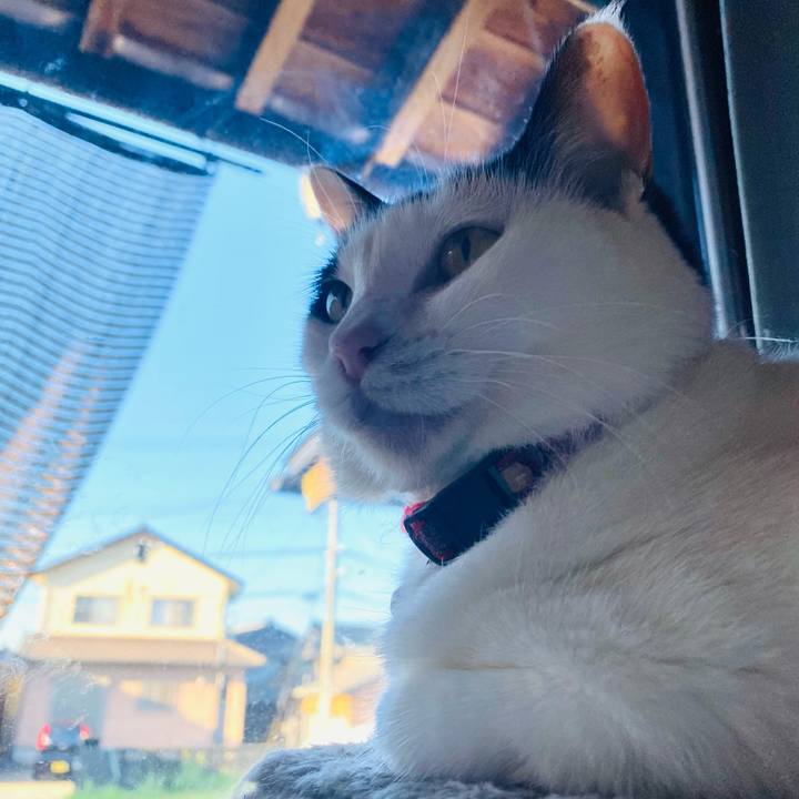 Aea44e9c dc09 463d 87d5 f06ea0283a83 1690237008458