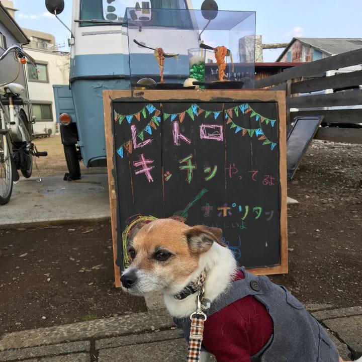 Aea48701 7a89 497f 8309 d813ceb7a319 1551427205730