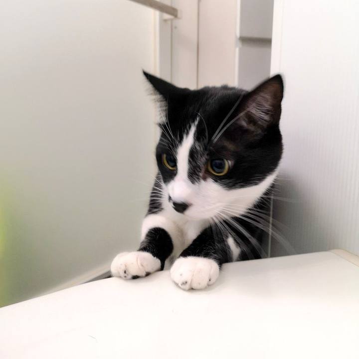 Aea4b360 c817 4723 81e3 6ff41d92535f 1544630614713