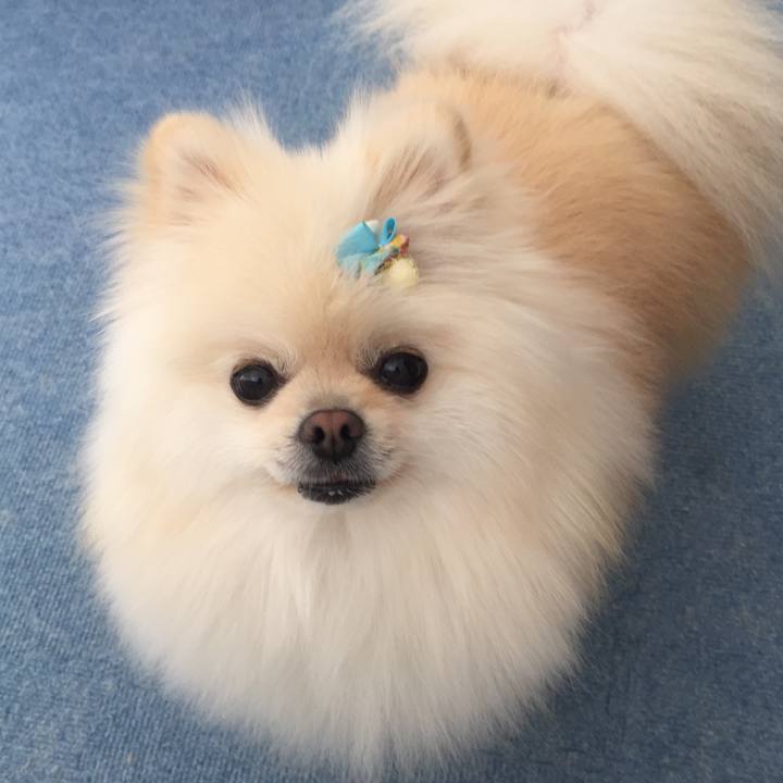 Aea4d214 2982 49fb bb64 46177a3f24b5 1546734771985