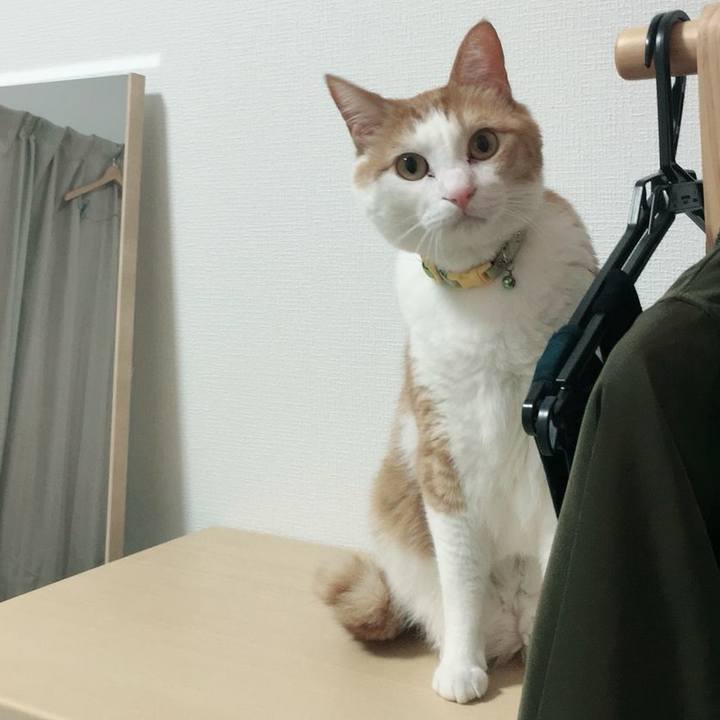 Aea4d890 01ca 4a61 8eb4 783736442622 1525860315081