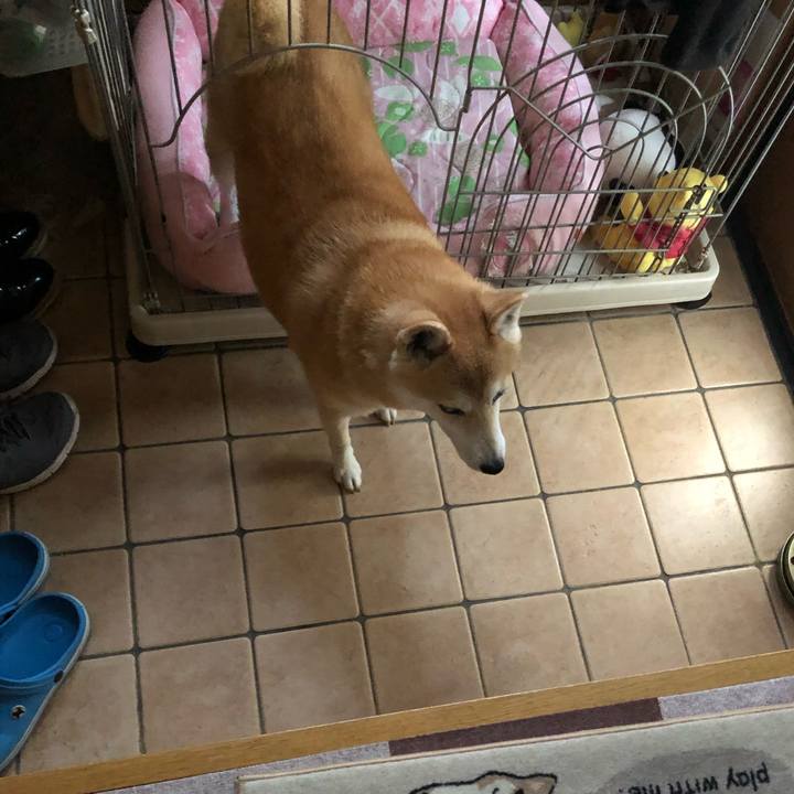 Aea4dbba 3eae 44bb 9201 1ad4945e4d5b 1600648277119