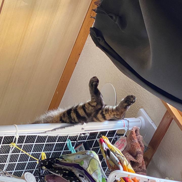 Aea4ec9d 3e66 42ab 8c93 c227855a7983 1588384688155