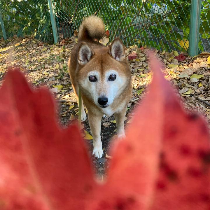 Aea4f90e c1ee 44d2 92c1 6dbbc6907bab 1668828256834