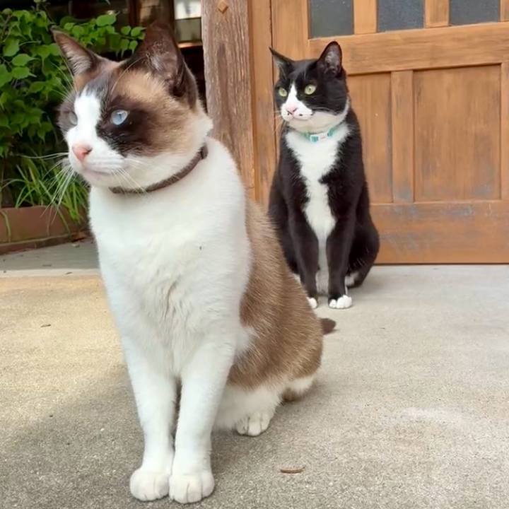 Aea507d2 fd96 44b0 a01c 74a1e9f9c8a8 1748223898906