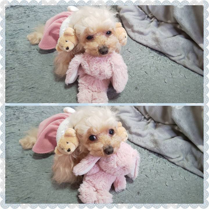 Aea51cfa e03b 482f a423 e48ea96b8d79 1644058117008