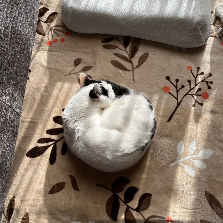 Aea51fd2 da97 4aeb b561 c128e9cc2ee5 1763822854923