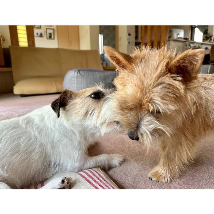 Aea527a2 9bb1 4f1b 9fa2 bf3ebd3fc1ab 1720936444517