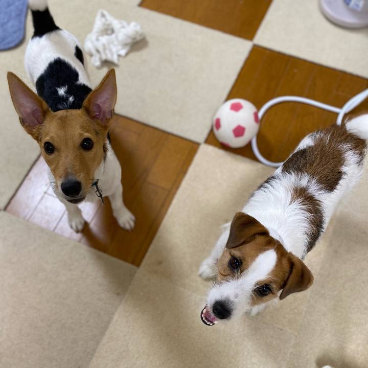 Aea54695 acf3 4e9f a9dc 0f617b9bdc6f 1757283139545