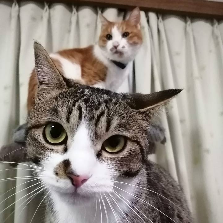 Aea54d38 a8ad 4d8b bd95 e8c746fdbef3 1679394305317