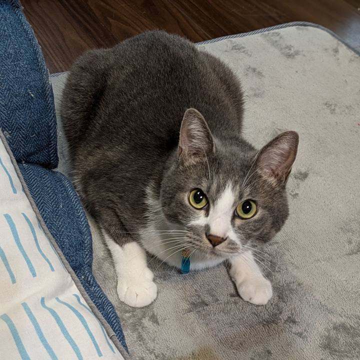 Aea55b80 18d9 4b4c 9e43 f74b910936a5 1726983237258