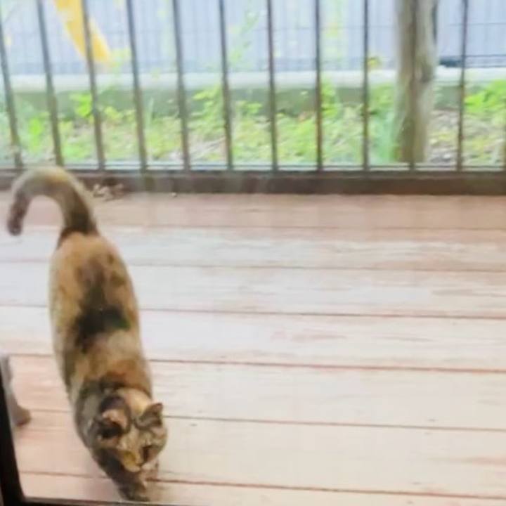 Aea573c3 986e 4ec7 8c68 3d6eb4a418ec 1729934983149