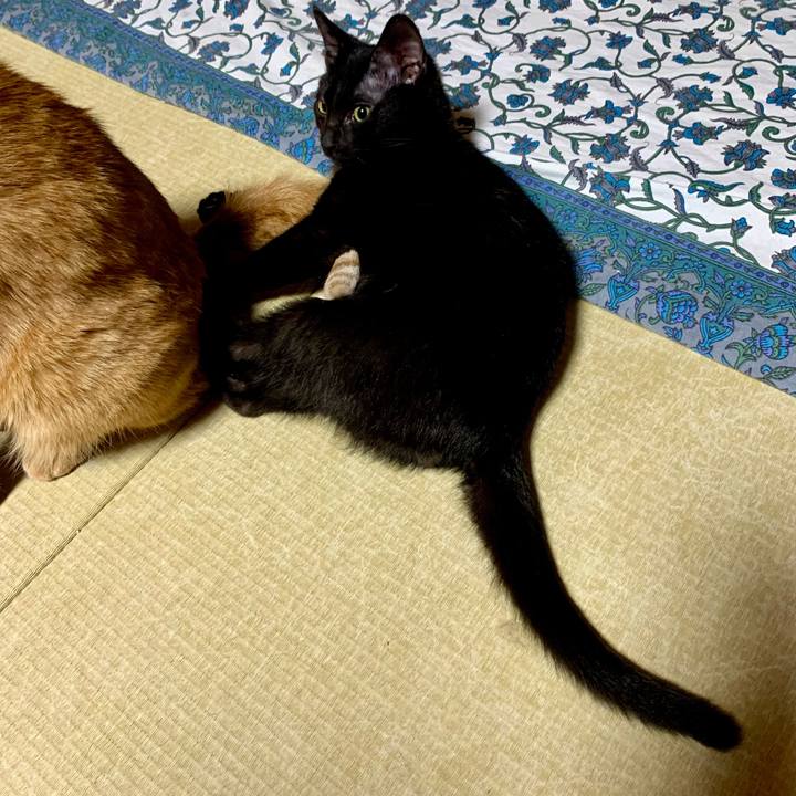 Aea5763e f466 4cf3 9c75 8bea23b61210 1646316792681