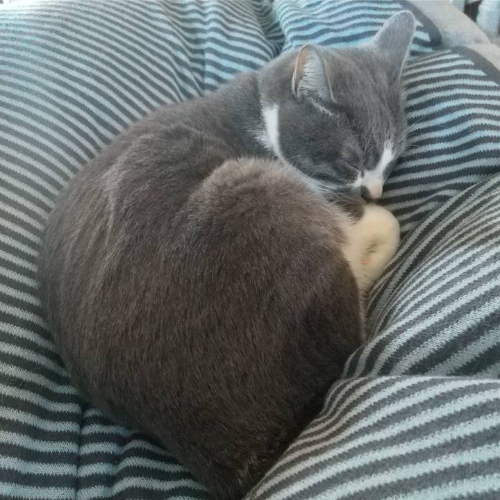 Aea5d4d7 8e44 43ac a5ed d00ea45e71e8 1642807690781