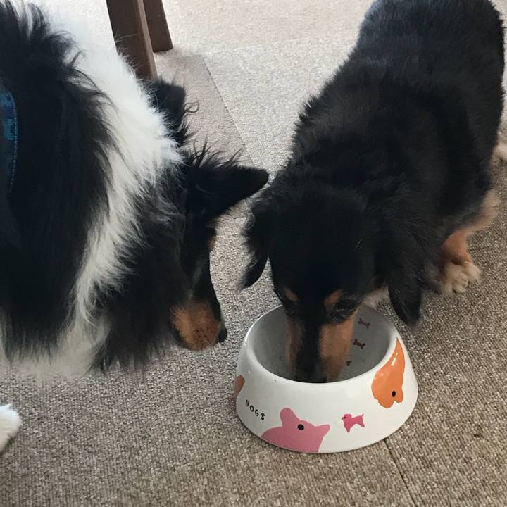 Aea5e4ce a3f6 4237 8d5d 7715779e55e9 1523917129391