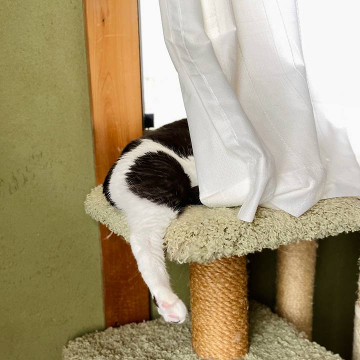 Aea5e563 5fe8 4ff0 9d05 ddc3d8172b31 1663812045320