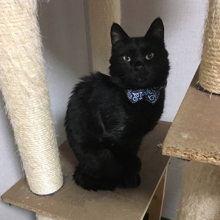 Aea608dd 62ba 4967 ad79 d5d76da89306 1551004845487