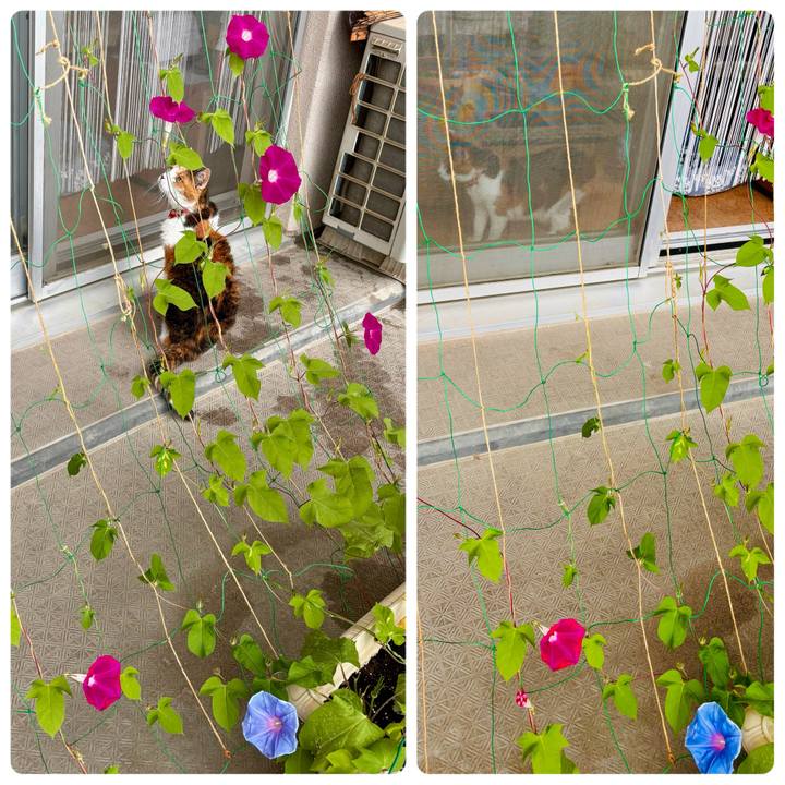 Aea6131e c9d9 49c4 96a8 6c2886ea7faf 1719353425663