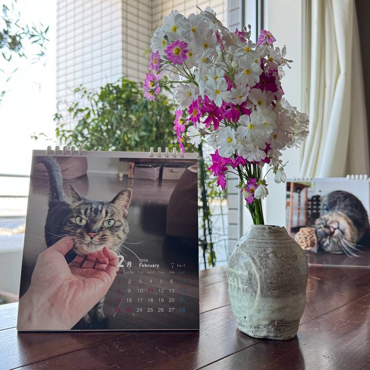 Aea64526 7f64 4dad 96bb 790c56b53ada 1769941484410