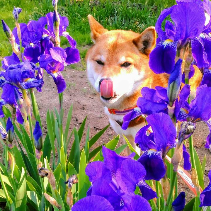 Aea64b4c 3290 41ef a8b8 691d0fb7da9f 1524298191984