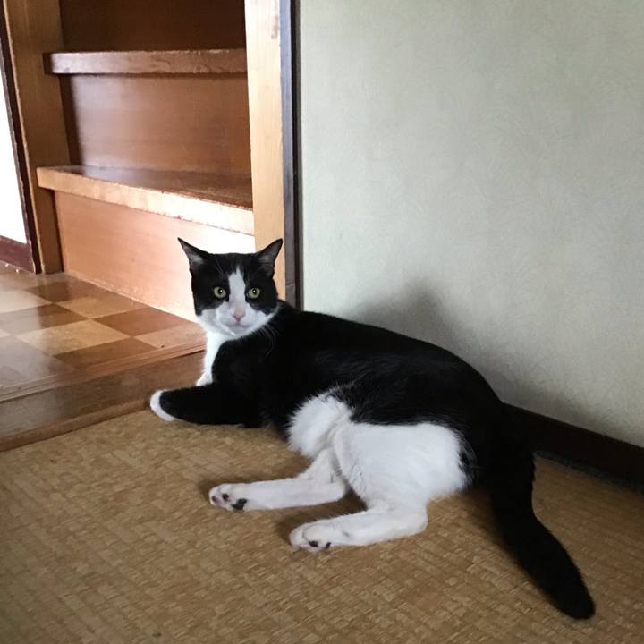 Aea68b04 e844 4466 8695 9eef2bd11314 1747818824207