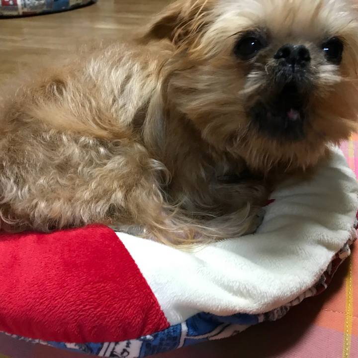 Aea6a955 9a75 45c6 a4a3 afd8f33e9b89 1509705201896