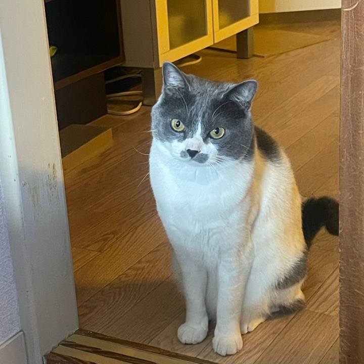 Aea70117 48a1 4a2a acbd 40364bb9d18e 1652656609804