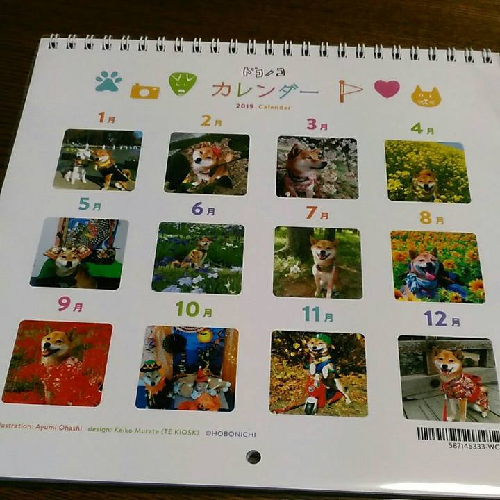 Aea70437 178e 4c69 865d f00e6ee79628 1546080989618