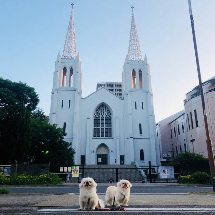 Aea71857 26d8 4911 a243 c06a5347e5fe 1593380077680